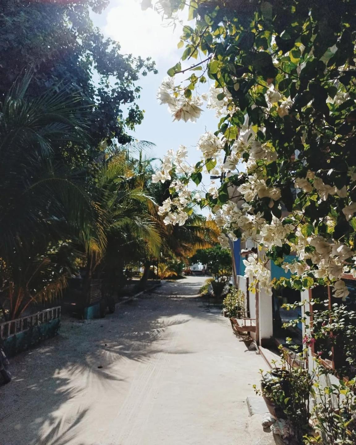 Kudhi Boli Beach House Thulusdhoo Eksteriør bilde
