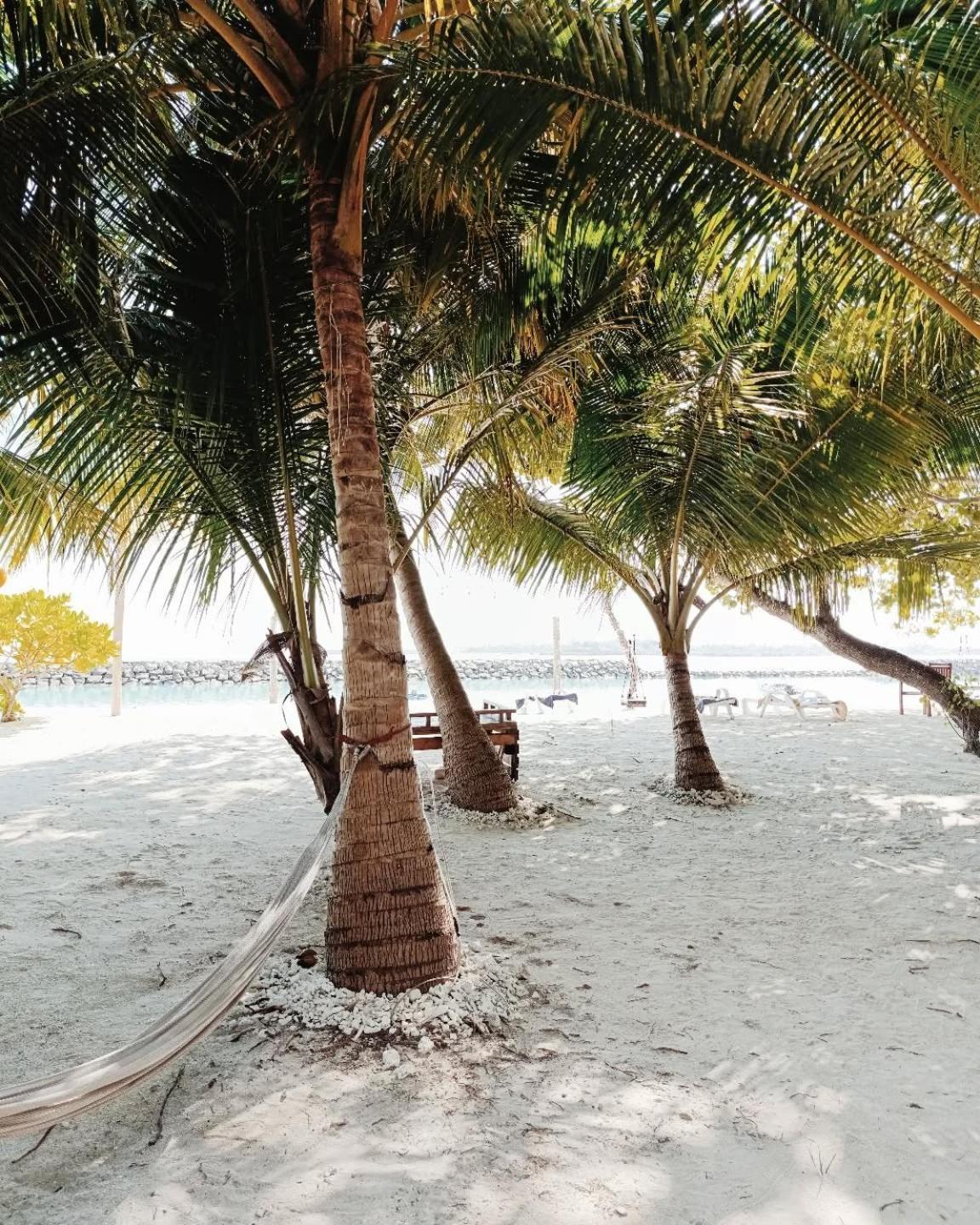 Kudhi Boli Beach House Thulusdhoo Eksteriør bilde