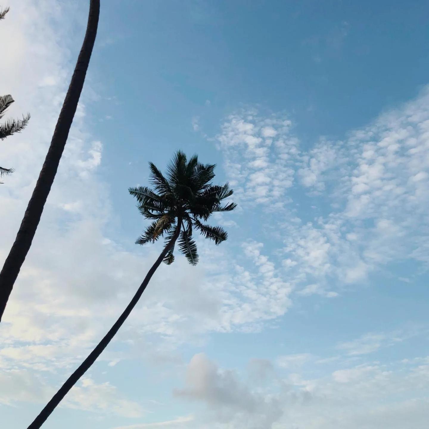 Kudhi Boli Beach House Thulusdhoo Eksteriør bilde