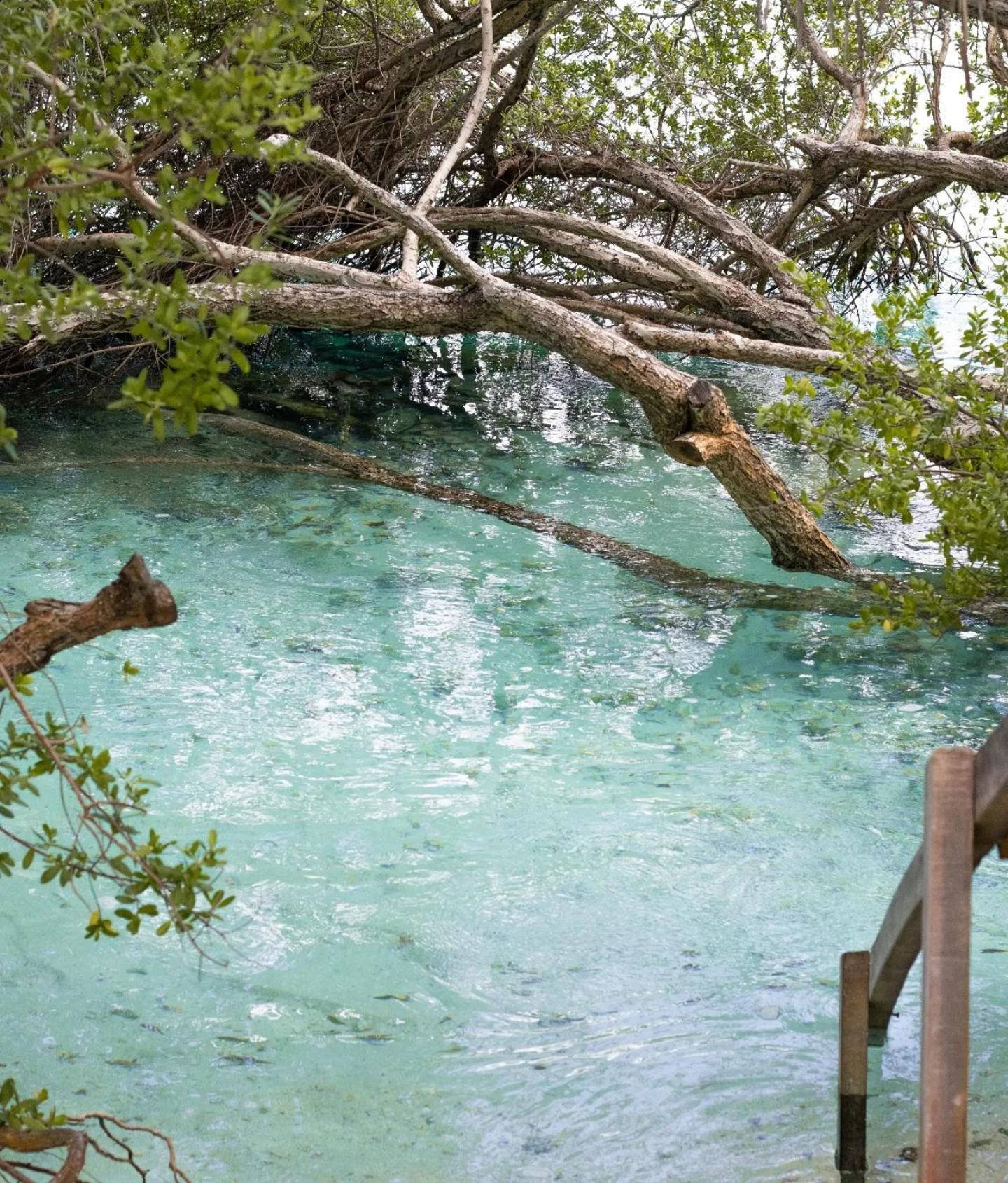 Kudhi Boli Beach House Thulusdhoo Eksteriør bilde